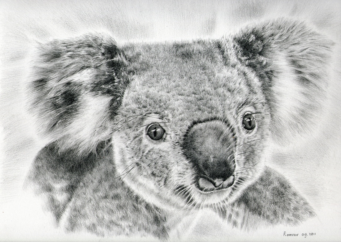 Premium Photo | Pencil sketch cute lion animal drawings ai generated