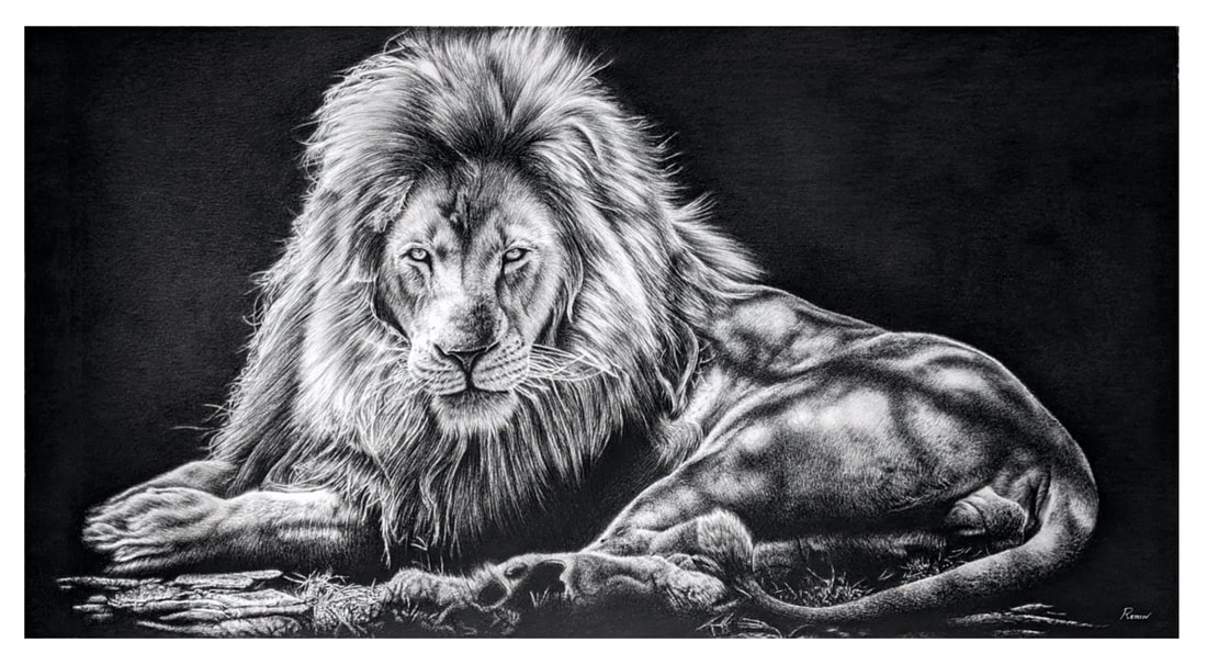 Realistic Lion Drawing Art -- Lion Graphite Pencil